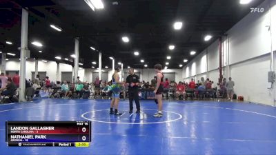 136 lbs Round 2 (4 Team) - Landon Gallagher, North Carolina vs Nathaniel Park, Georgia