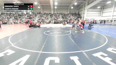 145 lbs Quarterfinal - Emmanuel Gusfa, NJ vs Camryn Howard, NY