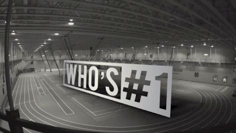 Who's #1: Ducks Fly Together