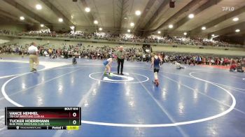 85 lbs Champ. Round 2 - Tucker Hoerrmann, Blue Pride Wrestling Club-AAA vs Vance Hemmel, Tri-Cap Wrestling Club-AA