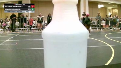 89 lbs 2nd Place - Maximus Hernandez, Threshold WC vs Brantley Paminto, Spring Hills WC