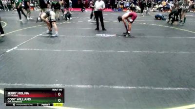 133 lbs Cons. Round 3 - Cody Williams, UNC Pembroke vs Jerry Molina, St Thomas