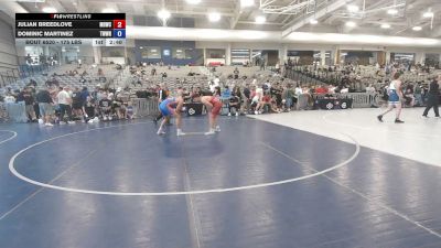 175 lbs Cons. Sub-rd Of 16 - Julian Breedlove, Mile High Wrestling Club vs Dominic Martinez, TW Wrestling