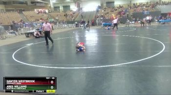 45 lbs Cons. Round 2 - Ares Williams, Blue Devil Wrestling vs Sawyer Westbrook, Stewarts Creek