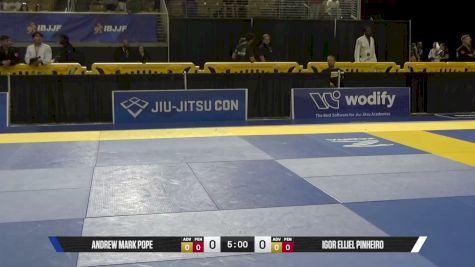 Lavinia Brida De Fig vs Kamyralee Lilian Gar 2026 Pan Jiu Jitsu IBJJF Championship