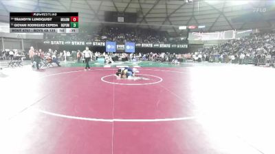 Boys 4A 120 lbs Cons. Round 5 - Giovani Rodriguez-Cepeda, Rogers (Puyallup) vs Trandyn Lundquist, Mead