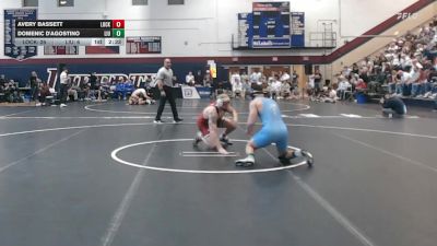 174 lbs Rr Rnd 1 - Avery Bassett, Lock Haven vs Domenic D'Agostino, Liu