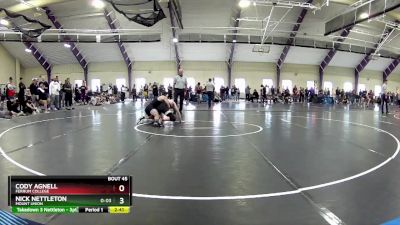 149 lbs Champ. Round 2 - Cody Agnell, Ferrum College vs Nick Nettleton, Mount Union