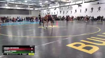 191 lbs Round 1 - Amara Devericks, Gannon vs Yamilex Perez, Adrian College