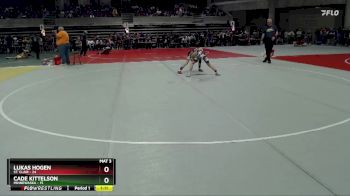 90 lbs Quarterfinal - Lukas Hogen, St. Clair vs Cade Kittelson, Minnewaska