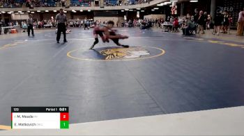 120 lbs Champ. Round 1 - Mikey Meade, Prairie Ridge vs Evan Matkovich, West Aurora