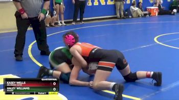 110 lbs Quarterfinal - Kasey Wells, DELAWARE HAYES vs Haley Williams, MASON