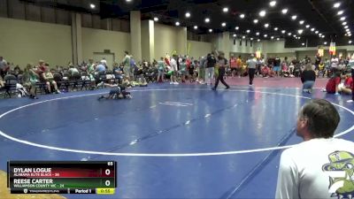 65 lbs Round 3 (8 Team) - Reese Carter, Williamson County WC vs Dylan Logue, Alabama Elite Black