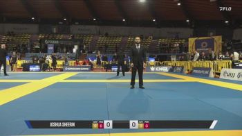 Joshua Sheerin vs Marcel Klos 2026 IBJJF European NoGi