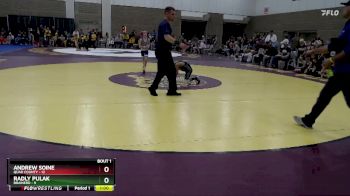 65 lbs Semis (4 Team) - Andrew Soine, Quad County vs Radly Pulak, Brainerd