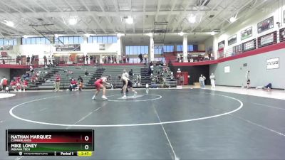 149 lbs 1st Place Match - Mike Loney, Indiana Tech vs Nathan Marquez, Cumberlands