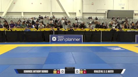 Khaled M. S. S. Mater vs Dominick Anthony Biondo 2025 World IBJJF Jiu-Jitsu No-Gi Championship