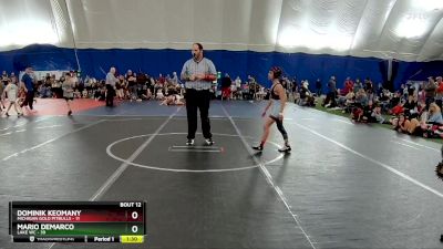 84 lbs Round 4 (6 Team) - Dominik Keomany, Michigan Gold Pitbulls vs Mario Demarco, Lake WC