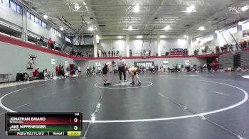 141 lbs Champ. Round 2 - Jonathan Baiano, Seton Hill vs Jake Niffenegger, Gannon