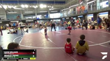 55 lbs Round 4 (8 Team) - Bradley Crowe, Team Palmetto vs Gavin Williams, WALA Littles