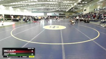 133 lbs Semifinal - Brett Blaess, Baldwin Wallace vs Isaias Torres, Ithaca