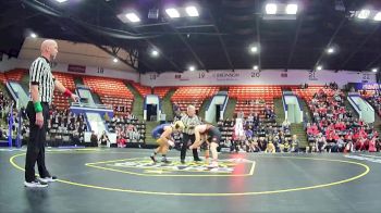 175 lbs Quarterfinals (8 Team) - Devon Brigman, Hudson Area HS vs Jacob Ziebell, Roscommon HS