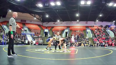 175 lbs Quarterfinals (8 Team) - Devon Brigman, Hudson Area HS vs Jacob Ziebell, Roscommon HS