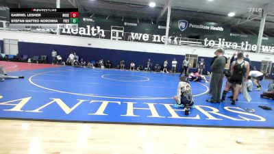 191 lbs Rr Rnd 3 - Gabriel Lesher, Mosers Mat Club - HSCB vs Stefan Matteo Noronha, Prestige Worldwide Red - HSCB