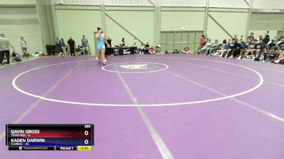 285 lbs Semis & 3rd Wb (16 Team) - Gavin Gross, Texas Red vs Kaden Darwin, Florida