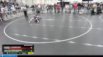 140 lbs Quarterfinal - Harlow Skenandore, Askren Wrestling Academy vs Audrey Levendusky, Tennessee