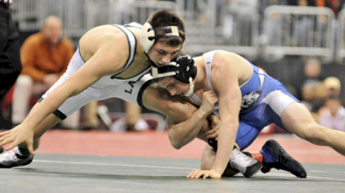 Buckeyes Land Ohio Stud