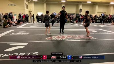 Jordan Gallow vs Dominick Perrin 2025 ADCC Charlotte Open