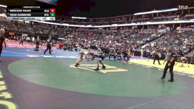 120-4A Cons. Round 2 - Sean Dammond, Montbello vs Breckan Palko, Mead High School