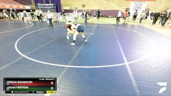 138 lbs Cons. Round 4 - Joshua Baughcum, GA vs Logan Mertens, ND
