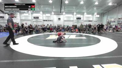 76 lbs Round Robin 2 - Nico Distasio, Tri-State Grapplers - EL vs Andrew Morgan, Ohio Gold - Black - EL