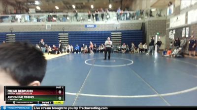 60 lbs Cons. Round 2 - Micah Rebmann, Grizzly Wrestling Club vs Ayden Palomino, Toppenish USA