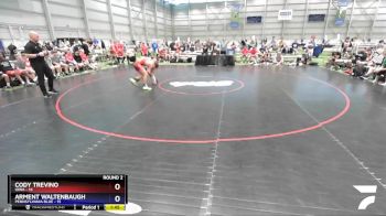 138 lbs Round 2 (8 Team) - Cody Trevino, Iowa vs Arment Waltenbaugh, Pennsylvania Blue