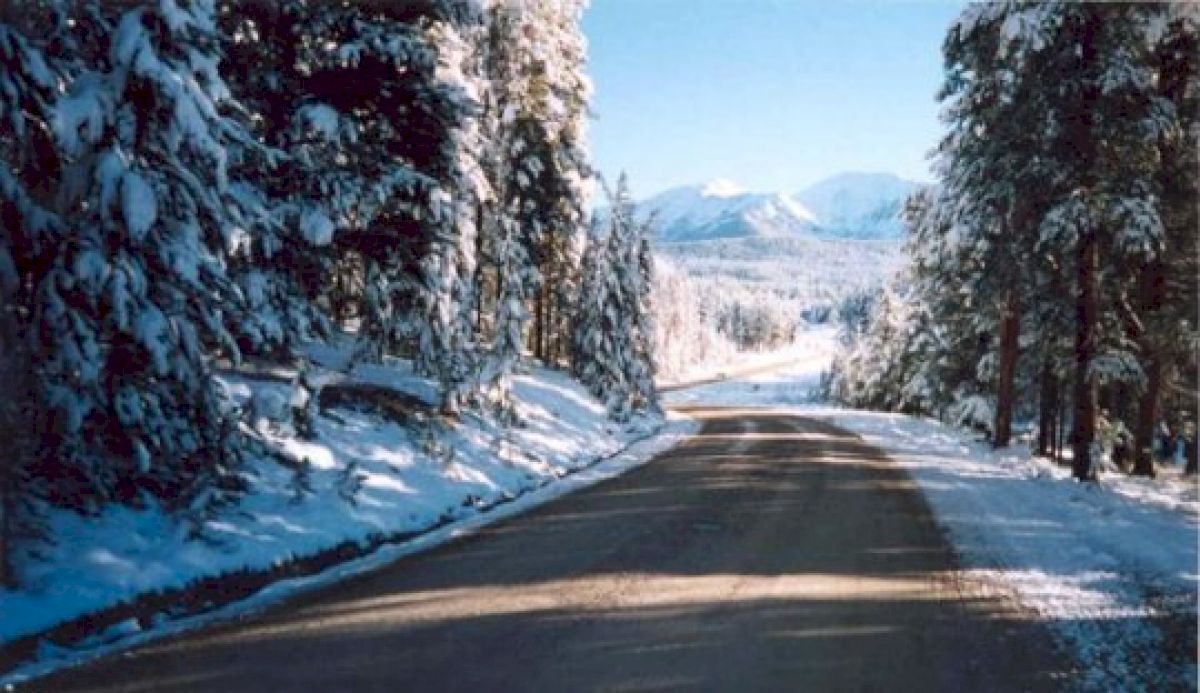 4 Tips For Running In The Cold