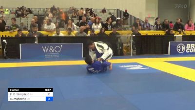 Felipe H. Desouza-Simplicio vs Brian Mahecha 2024 World Masters IBJJF Jiu-Jitsu Championship