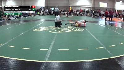 141 lbs Champ. Round 2 - Emmett Nelson, UW Parkside vs Carsen Richards, Lake Erie College