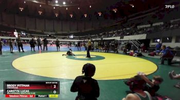 76 lbs Quarterfinal - Carstyn Lucas, Williamsburg Wrestling Club vs Brody Pittman, Chesapeake