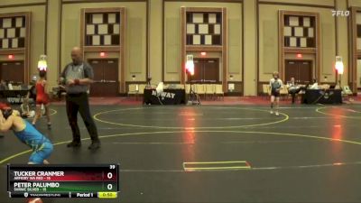 65 lbs Semis & 1st Wrestleback (8 Team) - Peter Palumbo, SVRWC Silver vs Tucker Cranmer, Armory WA Red