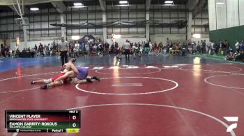 165 lbs Prelim - Eamon Garrity-Rokous, Williams College vs Vincent Player, Bridgewater State University