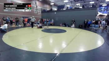 138 lbs Cons. Round 2 - Lilly Garrison, Anderson Performance Institute vs Miylah Davis, Marsh Valley Wrestling Club