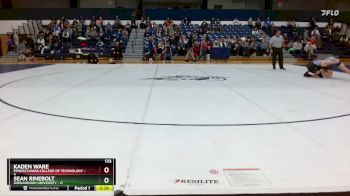 133 lbs Finals (2 Team) - Kaden Ware, Pennsylvania College Of Technology vs Sean Rinebolt, Shenandoah University