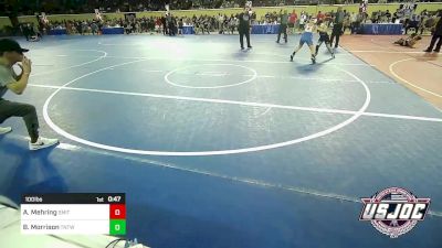 100 lbs Semifinal - Aiden Mehring, Smith Wrestling Academy vs Brantly Morrison, TNTWC