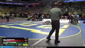 182 Class 3 lbs 3rd Place Match - Dalton Litzsinger, Hillsboro vs Will Berendzen, Jefferson City