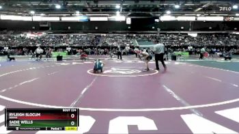 100 lbs Champ. Round 2 - Ryleigh Slocum, Borah vs Sadie Wells, Meridian