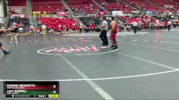 141 lbs Semifinal - Dominik Benedetto, Central Oklahoma vs Liam Sherrill, Carl Albert