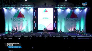 Raleigh Elite Diamonds - Storm [2025 L1 Junior - D2 Day 1] 2025 The Southwest Regional Summit